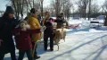 Миниатюра 17