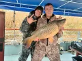 Миниатюра 3