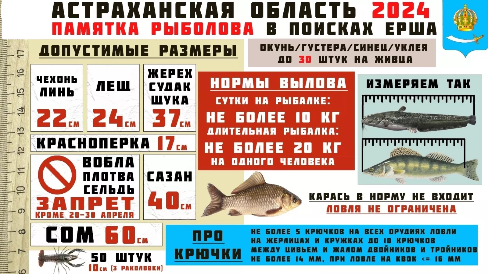 Большое фото 16