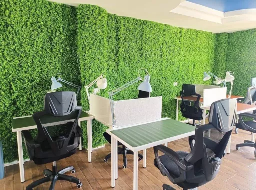 Коворкинг «Greenovation Coworking Space»