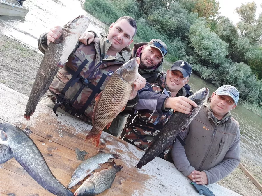Fish Sense База для Охоты и Рыбалки в Астрахани: Охота в Астрахани, Рыбалка в Астрахани, Охота на Фазана, Охота на Гуся, Охота на Зайца, Охота на Лисицу, Охота на Утку, Рыбалка на Судака, Рыбалка на Сома, Рыбалка на Щуку, Рыбный Ресторан, Банный Комплекс, Рыбалка на Сазана, База отдыха,