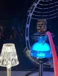 Миниатюра 3