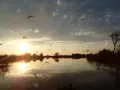 Миниатюра 12