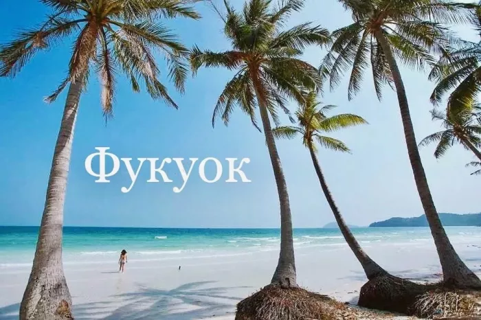 Турагентство PRO tour в Новосибирске: Тур, Путешествие, Турагентство, Туризм, Отпуск, Море, 