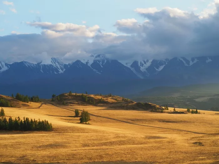 Турагентство Свобода Трэвел на Немировича-Данченко  в  Новосибирске