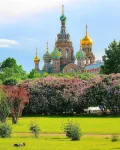 Миниатюра 3