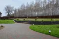 Миниатюра 12
