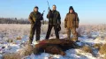 Миниатюра 8