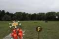 Миниатюра 12