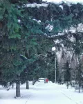 Миниатюра 7