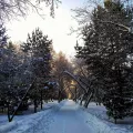 Миниатюра 9