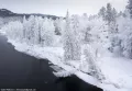 Миниатюра 9