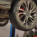 Миниатюра 10