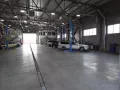 Миниатюра 17
