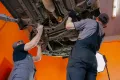 Миниатюра 21