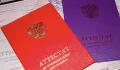 Миниатюра 11