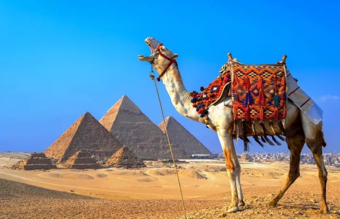 Турагентство travel63.ru в Самаре: Тур, Путешествие, Турагентство, Туризм, Отпуск, Море, 
