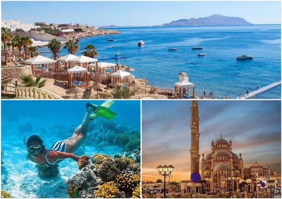 Турагентство Coral Travel на Московской в Самаре: Тур, Путешествие, Турагентство, Туризм, Отпуск, Море,