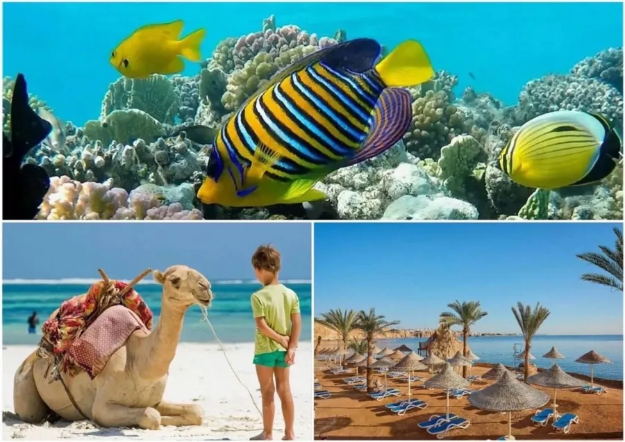 Турагентство Coral Travel на Ново-Садовой в Самаре: Турагентство, Турфирма, Турист, Туры, Туризм, Горящие туры, Чилим, Отпуск, Путешествие, Море, Travel, Travelling, Sea, Trip, Rest,