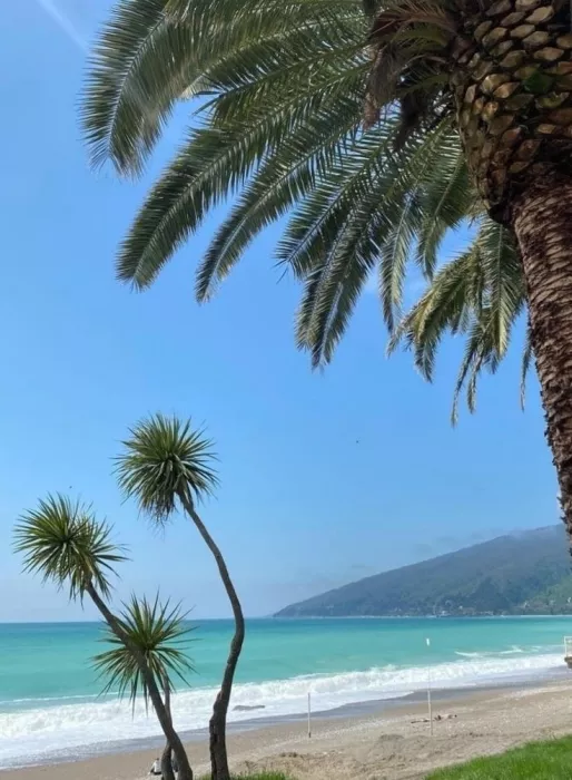 Турагентство Coral Travel на Мичурина в Самаре: Тур, Путешествие, Турагентство, Туризм, Отпуск, Море, 
