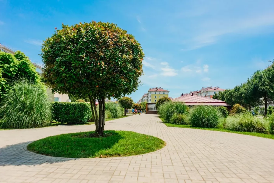 Турагентство Natali.TRAVEL в Самаре: Турагентство, Турфирма, Турист, Туры, Туризм, Горящие туры, Чилим, Отпуск, Путешествие, Море, Travel, Travelling, Sea, Trip, Rest,