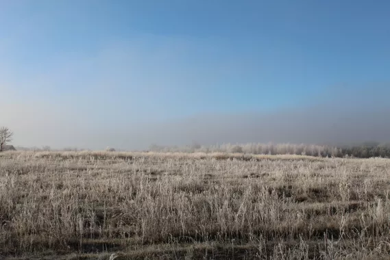 Охотничье угодье "Русский лес"