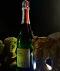 Миниатюра 18