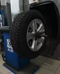 Миниатюра 6