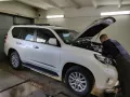 Миниатюра 15