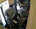 Миниатюра 7