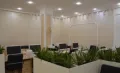 Миниатюра 9