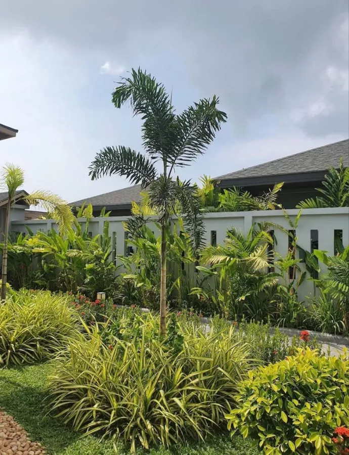 Отель Dalaa Pool Villa Resort в Пхукете: Отель, Вилла, Бассейн, Hotel, Villa, Swimming Pool,