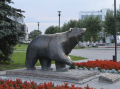 Миниатюра 5