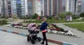 Миниатюра 8