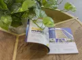Миниатюра 6