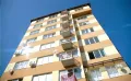 Миниатюра 10