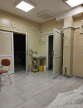 Миниатюра 13