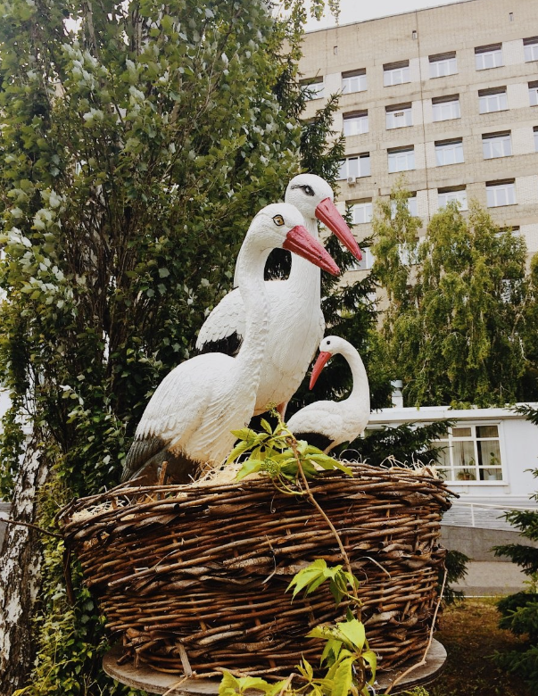 Областной перинатальный центр 