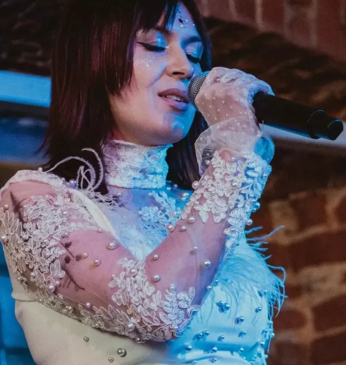 Студия звукозаписи Music room