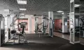 Миниатюра 7