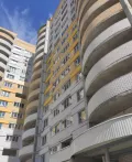 Миниатюра 12