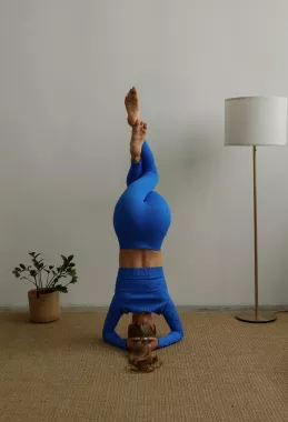 Студия йоги Yogas