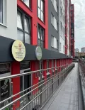 Миниатюра 3