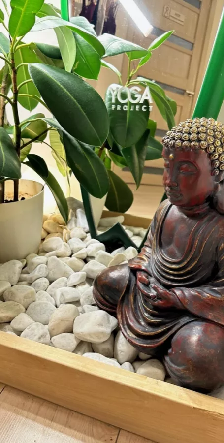 Студия йоги Yoga projeсt в Екатеринбурге: Йога, Фитнес , Пилатес, Здоровье , Гибкость , Растяжка , Женское пространство , Тренировки ,