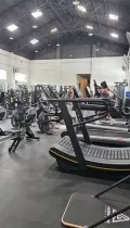 Миниатюра 8