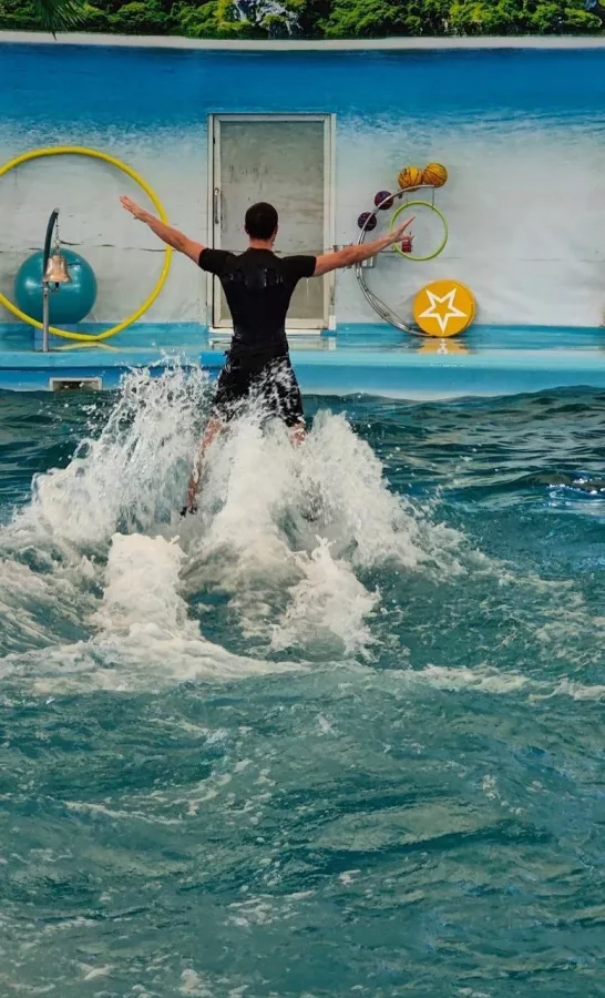 Дельфинарий Dolphins Bay Phuket в Пхукете: Дельфины, Шоу, Dolphins , Show, Зоопарк, Zoo,