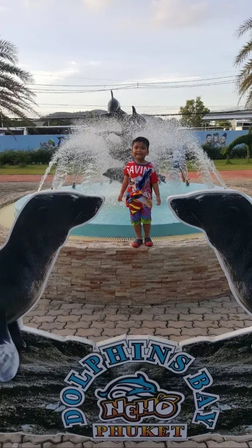 Дельфинарий Dolphins Bay Phuket в Пхукете: Дельфины, Шоу, Dolphins , Show, Зоопарк, Zoo,