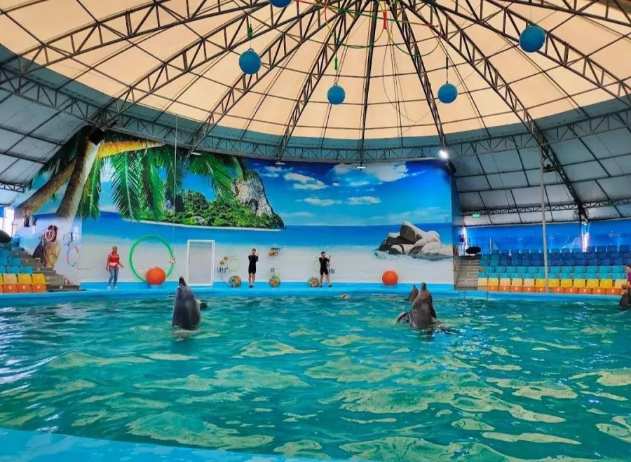 Дельфинарий Dolphins Bay Phuket в Пхукете: Дельфины, Шоу, Dolphins , Show, Зоопарк, Zoo,