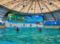 Миниатюра 7