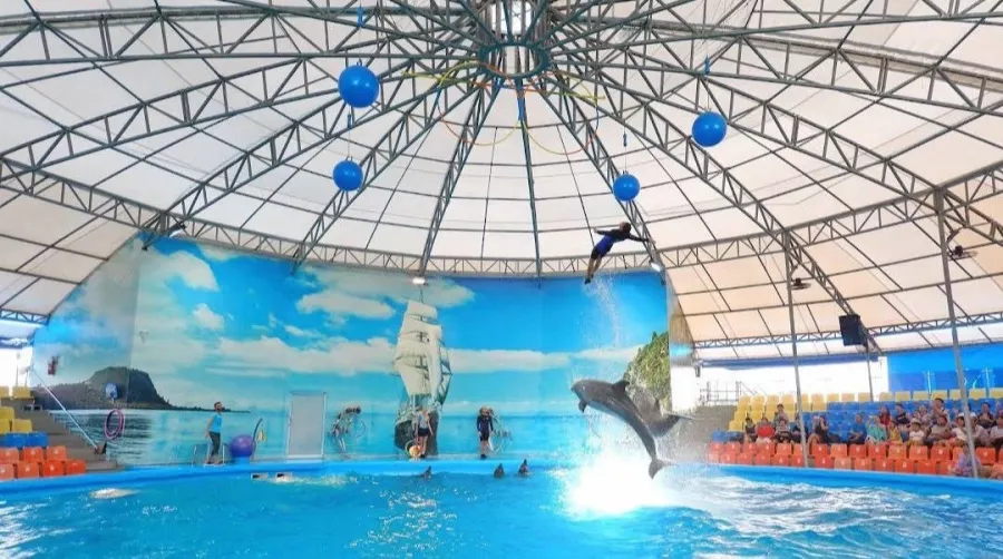 Дельфинарий Dolphins Bay Phuket в Пхукете: Дельфины, Шоу, Dolphins , Show, Зоопарк, Zoo,